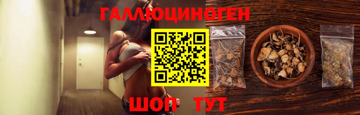 Галлюциногенные грибы ЛСД Дальнереченск